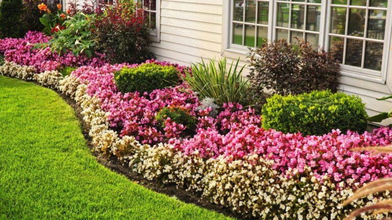Lawn Edging Guide: Benefits, Design Ideas, and Real-World Examples for Perfect Landscape Borders